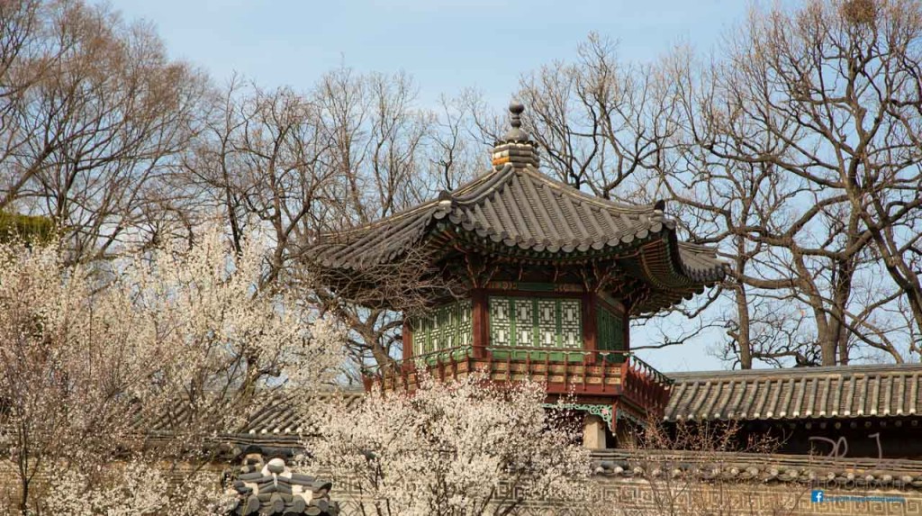 Sights around Changdeokgung palace