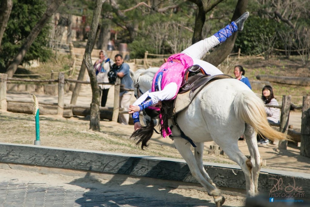 Equestrian Stunt Show at the Korean Folk Village