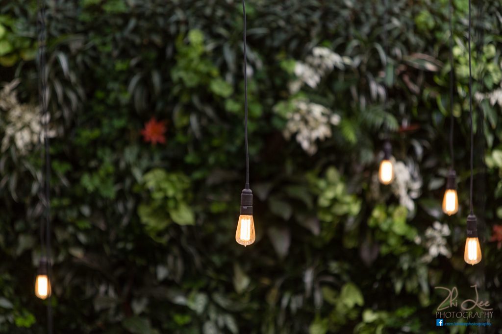 A close up shot of these hanging retro bulbs against our green wall.
