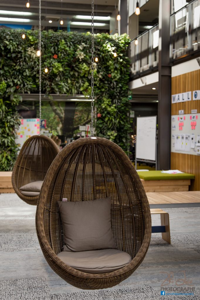 Trade Me Auckland Office - Hanging Basket Chairs